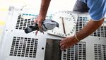 Balap Merpati Kembali Digelar Usai Lockdown