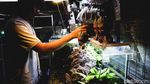 Serunya Berburu Aneka Ikan Hias di Menteng