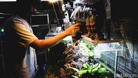 Berbagai kebutuhan aquascape seperti aquarium, batu, pohon ikan dan lainnya pun dapat ditemukan para pengunjung di kawasan ini.