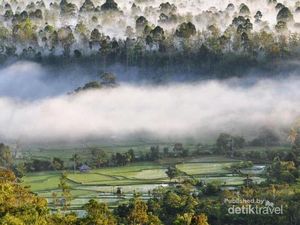 Begini Suasana Negeri di Atas Awan Liwa, Lampung