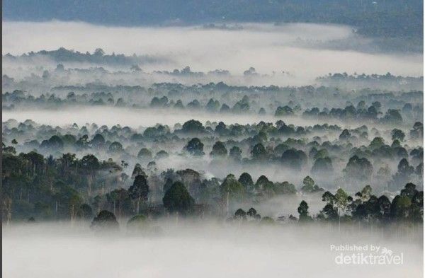 Bukit Kabut Bawang Bakung