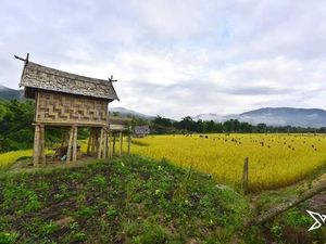 17 Desa di Luwu Utara Lepas Status Desa Sangat Tertinggal