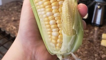 Ada bayi jagung juga di dalamnya. Foto: Brightside