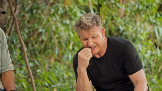 Gordon Ramsay cicip tarantula bakar