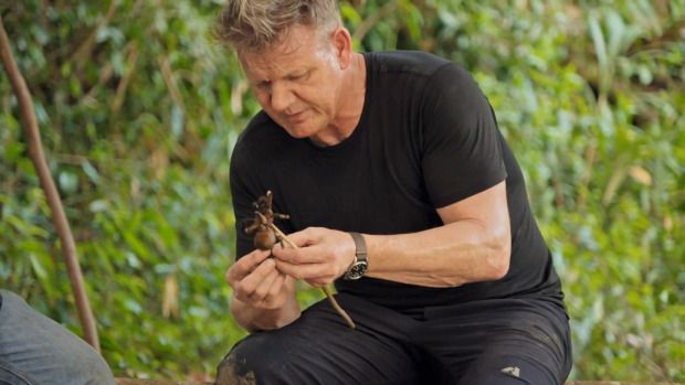 Gordon Ramsay cicip tarantula bakar