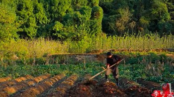 Li, sering memposting video tentang kehidupannya di pedesaan Provinsi Sichuan, China. Dia kerap memanen hasil Bumi dan menunjukkan kepada pemirsa bagaimana dia memasak makanan, menyiapkan bahan-bahan dari mentah seperti kecap. Li bahkan membuat furnitur sendiri dari bambu dan kayu-kayu yang didapatnya dari alam. Foto: YouTube Li Ziqi