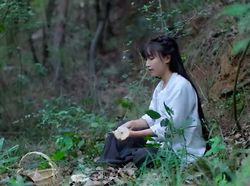 Misteri Hilangnya YouTuber China Li Ziqi yang Pecahkan Rekor Dunia