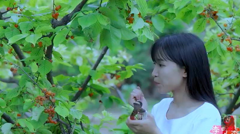 Hidup di Desa, YouTuber Li Ziqi Petik Buah hingga Bikin Mie Sendiri