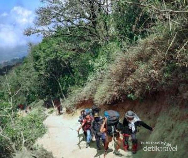 Jalur Wekas gunung Merbabu
