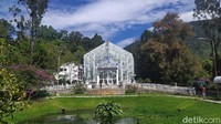 Konservatori di Kebun Raya Cibodas juga memiliki bangunan yang instagramable. Memiliki kaca transparan, kondisi di dalam bisa terlihat dari luar. (Ismet Slamet/detikcom)