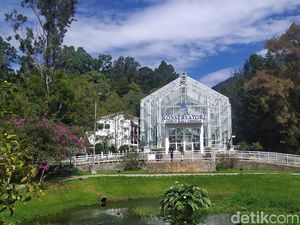 Baru Dibuka Kembali, Ini Spot Instagramable Kebun Raya Cibodas