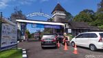 Baru Dibuka Kembali, Ini Spot Instagramable Kebun Raya Cibodas