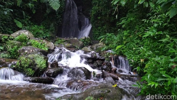 Kebun Raya Cibodas