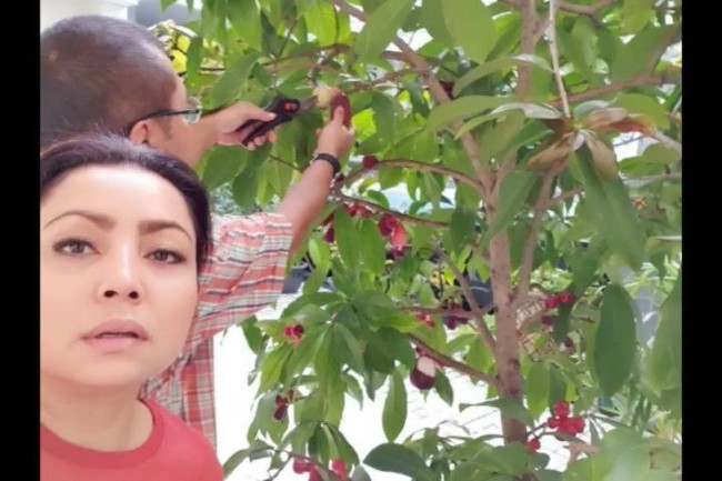 Belum lama ini Mayangsari mem-posting sebuah video yang memperlihatkan Bambang sedang memanen jambu. Dalam keterangan video tersebut, Mayangsari mengungkapkan bahwa materi tak melulu menjamin kebahagiaan seseorang. Soreku dgn Nya❤ saat menganggap Materi bkn segalanya... happy untuk hal yg kecil itu luarbiasa, tulis Mayangsari. (Foto: Instagram/@mayangsaritrihatmodjoreal)