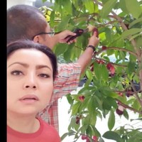 Belum lama ini Mayangsari mem-posting sebuah video yang memperlihatkan Bambang sedang memanen jambu. Dalam keterangan video tersebut, Mayangsari mengungkapkan bahwa materi tak melulu menjamin kebahagiaan seseorang. Soreku dgn Nya❤ saat menganggap Materi bkn segalanya... happy untuk hal yg kecil itu luarbiasa, tulis Mayangsari. (Foto: Instagram/@mayangsaritrihatmodjoreal)