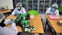 Kementerian Pertanian meluncurkan inovasi produk berbasis tanaman eucalyptus yang digunakan sebagai aksesoris kesehatan yang disebut kalung aromaterapi eucalyptus sebagai antivirus dan mampu menambah daya tahan tubuh.