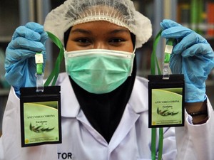 Puji Eucalyptus Kementan, IDI: Dorong Inovasi Penelitian yang Baik