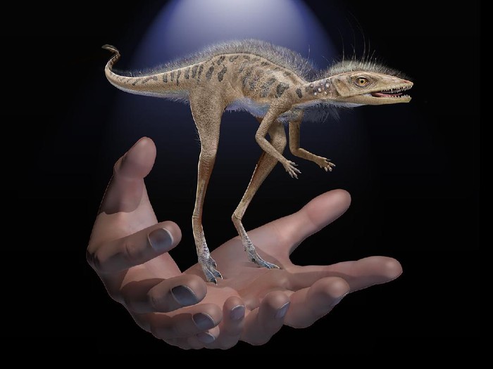nenek moyang dinosaurus berukuran mungil
