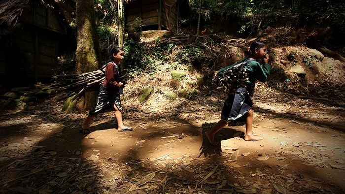 BANTEN, INDONESIA - FEBRUARY 07:  A member of the traditional Baduy (or Badui) tribe walks on the bamboo bridge in the village in the hilly forest area of the Kendeng mountains on February 7, 2010 in Banten, Indonesia. The traditional community consists of around 5000-8000 people spread acorss a hilly area of just 50 square kilometres. The religion of the Baduy people, known as Agama Sunda Wiwitan, combines elements of Hinduism, Buddhism and traditional beliefs, including various taboos such as not eating food at night, touching money, accepting gold or silver or even cutting their hair.  (Photo by Ulet Ifansasti/Getty Images)