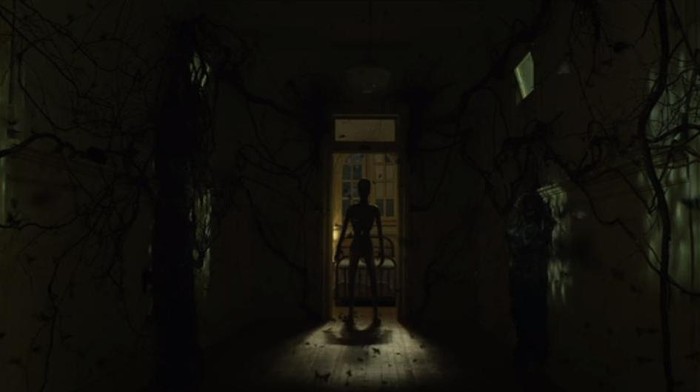 Before I Wake