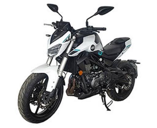 Benelli TNT 300