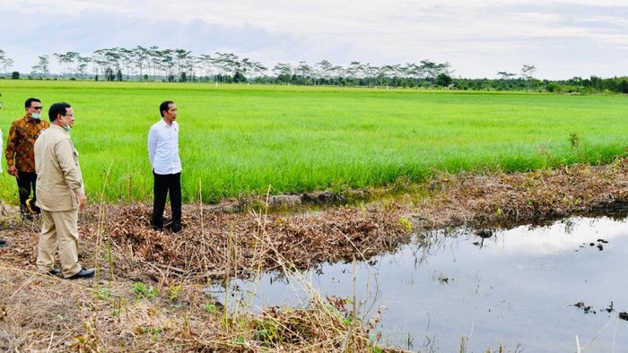 Presiden Jokowi hingga Menhan Prabowo Subianto meninjau proyek lumbung pangan di Kalteng.