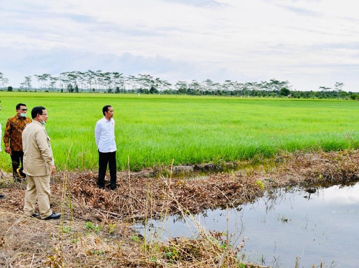 Presiden Jokowi hingga Menhan Prabowo Subianto meninjau proyek lumbung pangan di Kalteng.