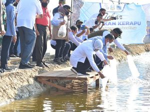 Datang ke Lamongan, Menteri KKP Dicurhati Pembudidaya Ikan Kerapu