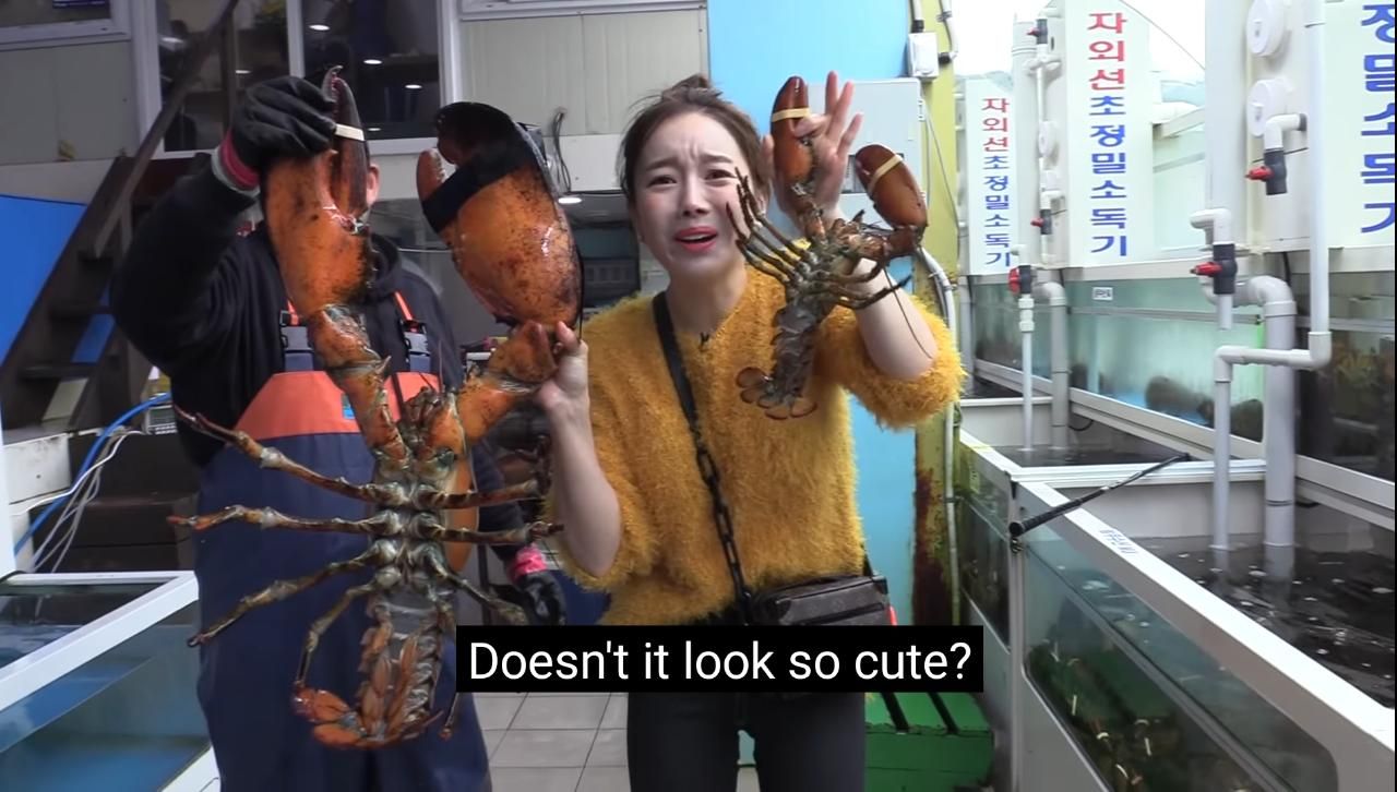 mukbang lobster raksasa