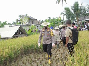 Desa Wisata di NTB Rayakan Hasil Panen di Tengah Pandemi