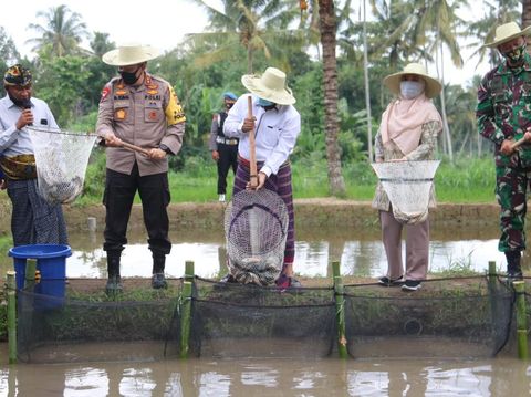 Panen Raya di Desa Kembang Kuning NTB saat pandemi Corona