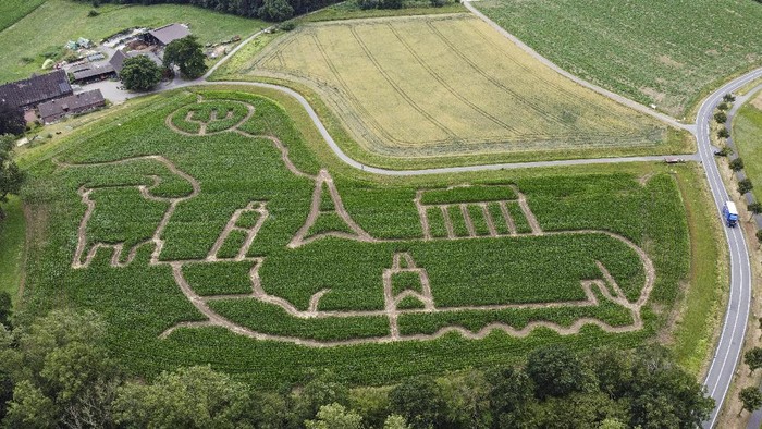 Farmer Luenemann has cut a maze out of his corn field, showing symbols of Europe like the German Brandenburg Gate, the French Eiffel Tower, the Italian Leaning Tower of Pisa, the Spanish Bull and the Czech Charles Bridge in Selm, Germany, Monday, July 6, 2020. Germany took over the six-month Presidency of the Council of the European Union on July 1, 2020. (AP Photo/Martin Meissner)