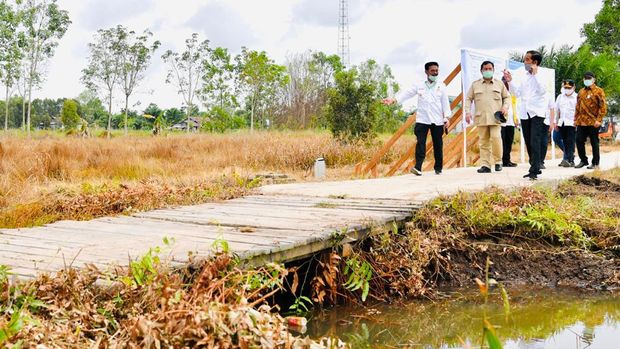 Presiden Joko Widodo beserta rombongan meninjau lokasi pengembangan food estate atau lumbung pangan nasional dalam kunjungan kerja ke Provinsi Kalimantan Tengah pada Kamis (9/7/20220). (Biro Pers Sekretariat Presiden/ Laily Rachev)