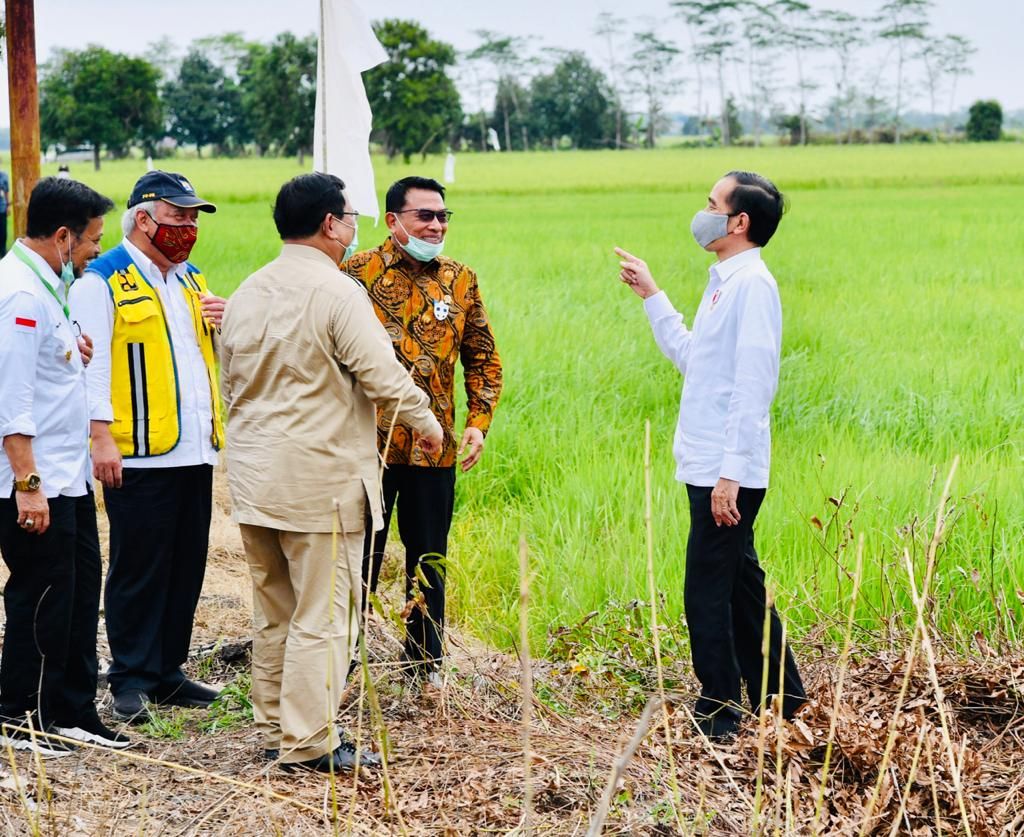 Presiden Joko Widodo beserta rombongan meninjau pembangunan peningkatan jaringan reklamasi rawa di Tahai Baru, Kabupaten Pulang Pisau, Kamis (9/7/2020). (Biro Pers Sekretariat Presiden/Laily Rachev)