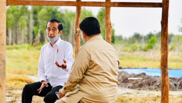 Presiden Jokowi dan Menhan Prabowo Subianto berbincang di proyek lumbung pangan di Kalteng
