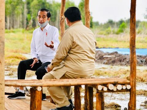 Presiden Jokowi dan Menhan Prabowo Subianto berbincang di proyek lumbung pangan di Kalteng