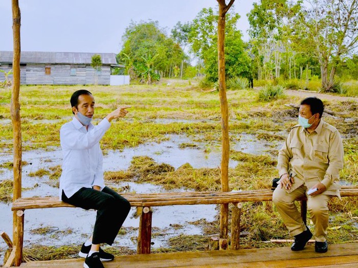 Presiden Jokowi dan Menhan Prabowo Subianto berbincang di proyek lumbung pangan di Kalteng