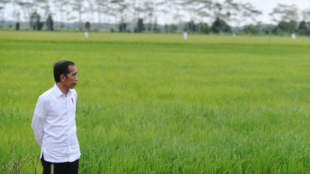 Presiden Joko Widodo (kanan) didampingi Menteri Pertahanan Prabowo Subianto (kiri), Menteri Pertanian Syahrul Yasin Limpo (kedua kiri) dan Menteri PUPR Basuki Hadimuljono (kedua kanan) meninjau lahan yang akan dijadikan 