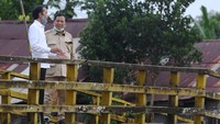 Prabowo mendapatkan mandat langsung dari Presiden Jokowi untuk menggarap lumbung pangan nasional. Untuk itu, Jokowi dan Prabowo bertolak langsung dan meninjau lokasi yang akan digarap menjadi lumbung pangan RI tersebut.