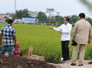Moeldoko: Food Estate Terapkan Sistem Bagi Hasil Untuk Swasta-Petani