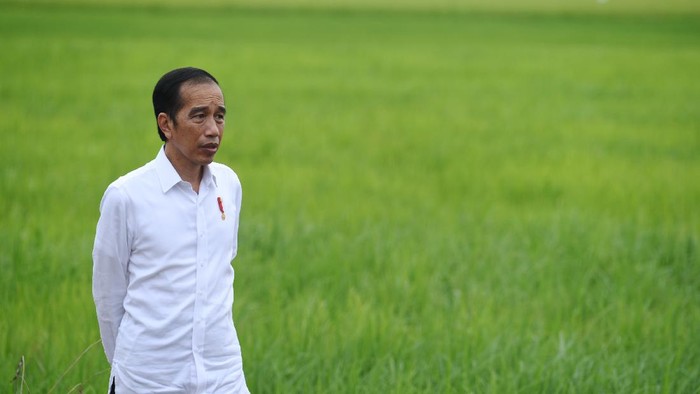 Presiden Joko Widodo (kanan) didampingi Menteri Pertahanan Prabowo Subianto (kiri), Menteri Pertanian Syahrul Yasin Limpo (kedua kiri) dan Menteri PUPR Basuki Hadimuljono (kedua kanan) meninjau lahan yang akan dijadikan 
