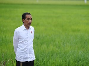 Prabowo Garap Lumbung Pangan, Jokowi: Pertahanan Tak Hanya Urusan Alutsista