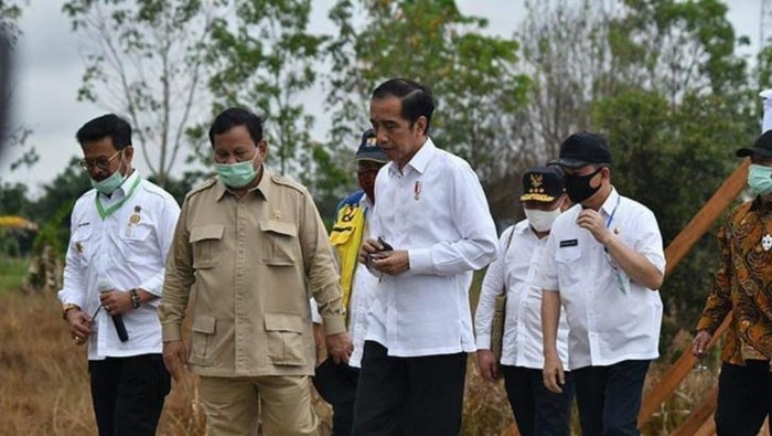 SYL hingga Prabowo Dampingi Jokowi Cek Pengembangan Lumbung Pangan