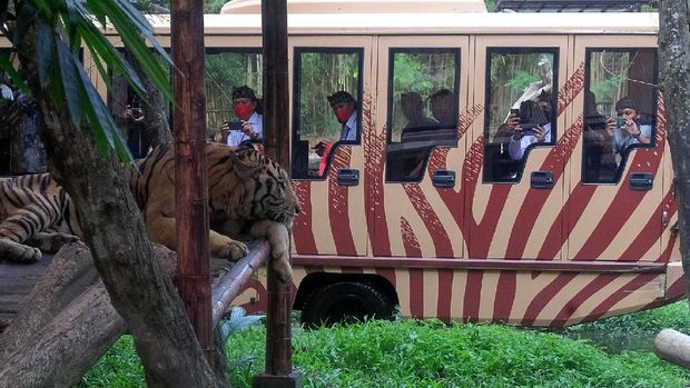 Sejumlah tempat wisata di Bali kembali dibuka untuk umum di masa new normal. Tempat wisata itu kembali dibuka dengan terapkan sejumlah protokol kesehatan.