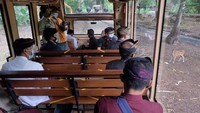 Pemandu wisata memberi penjelasan kepada wisatawan lokal Bali saat hari pertama penerapan normal baru tahap I di Bali Safari And Marine Park, Gianyar, Bali, Kamis (9/7/2020).