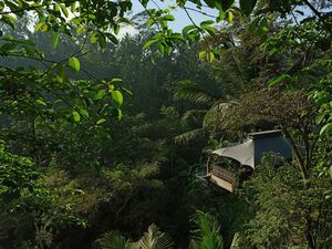 Kota Terbaik versi Travel+ Leisure, Ubud Geser Tokyo dan Singapura
