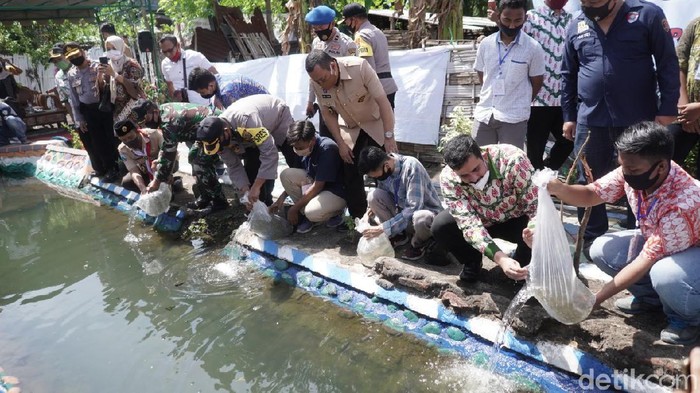 Forkopimda Kota Probolinggo Tebar Ribuan Bibit Ikan Nila Disaat Pandemi Corona