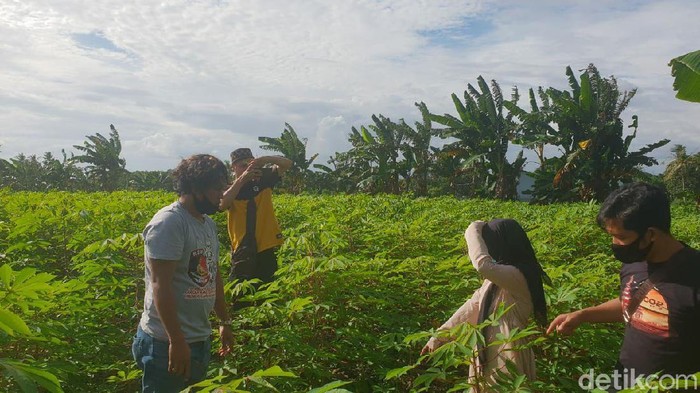 Gadis 12 tahun yang dinikahi terapis pijat di Pinrang ternyata korban pemerkosaan bapak tirinya (Hasrul Nawir/detikcom)
