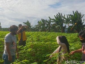 Jadi Tersangka, Bapak Tiri Cabuli Gadis 12 Tahun Istri Terapis Sejak 2018