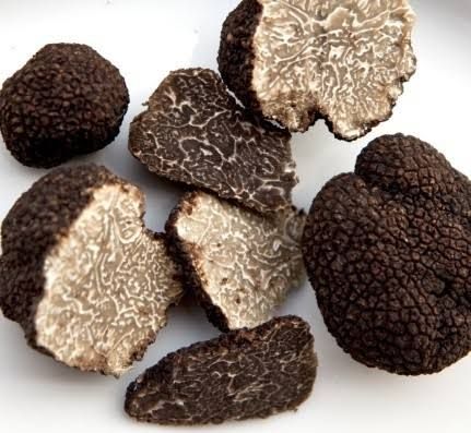 jamur truffle gratis